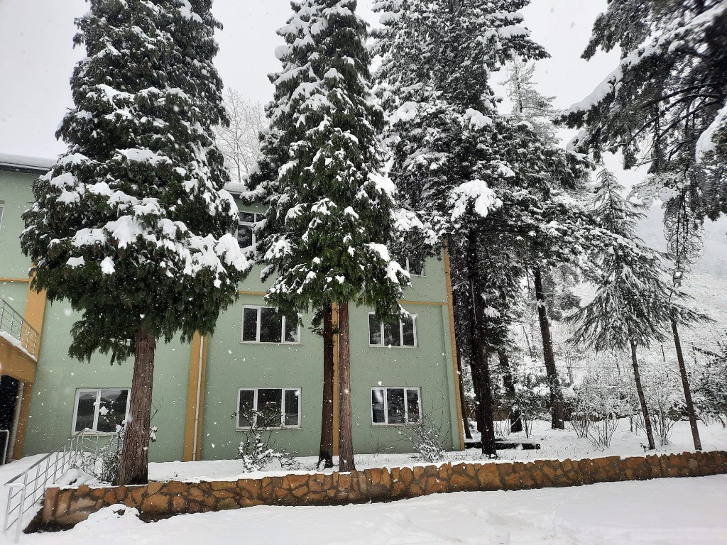 Altın Kalpler Kurum Kış Manzarası